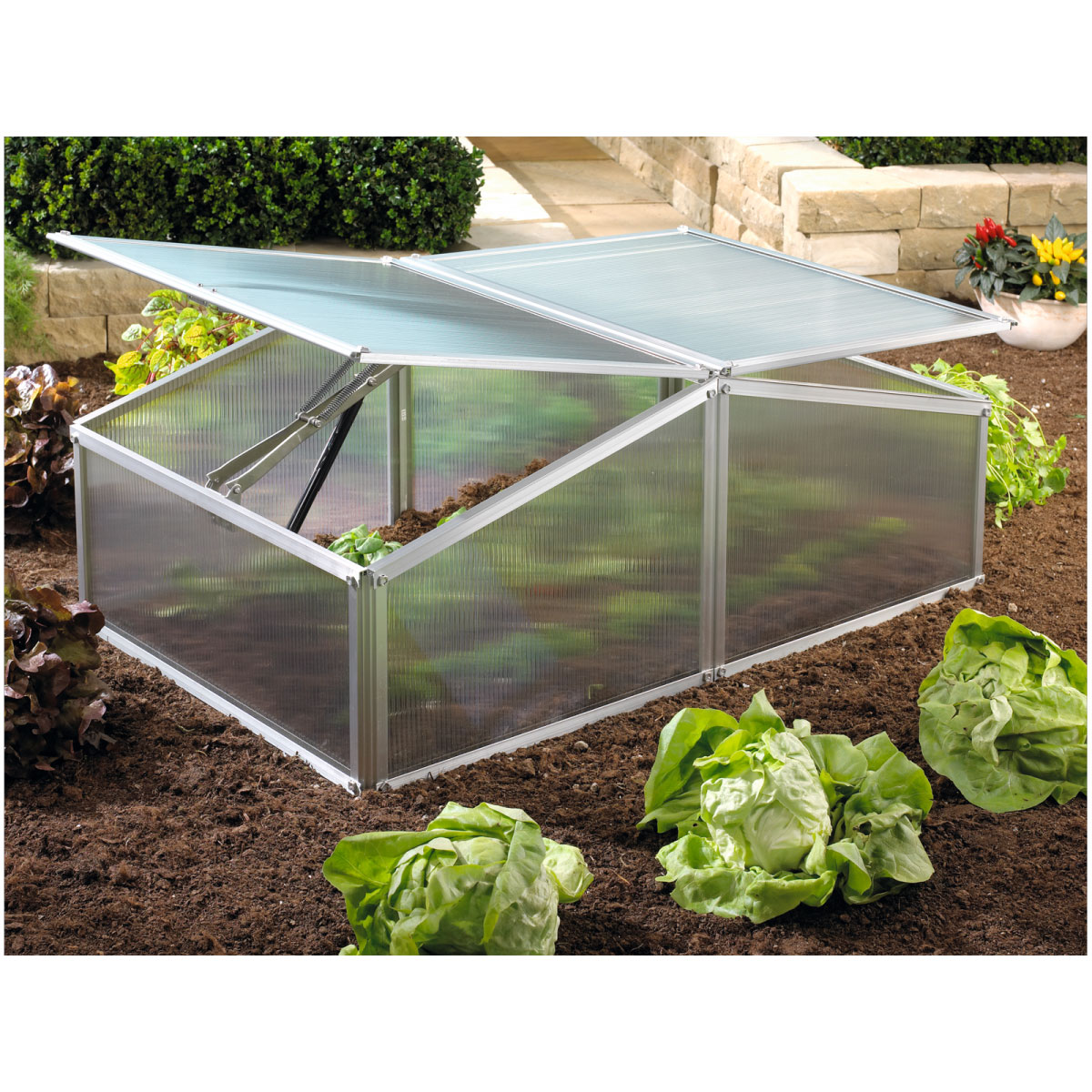 Vitavia Frühbeet Gaia XS 100 x 39 x 60 cm transparent Bild 1