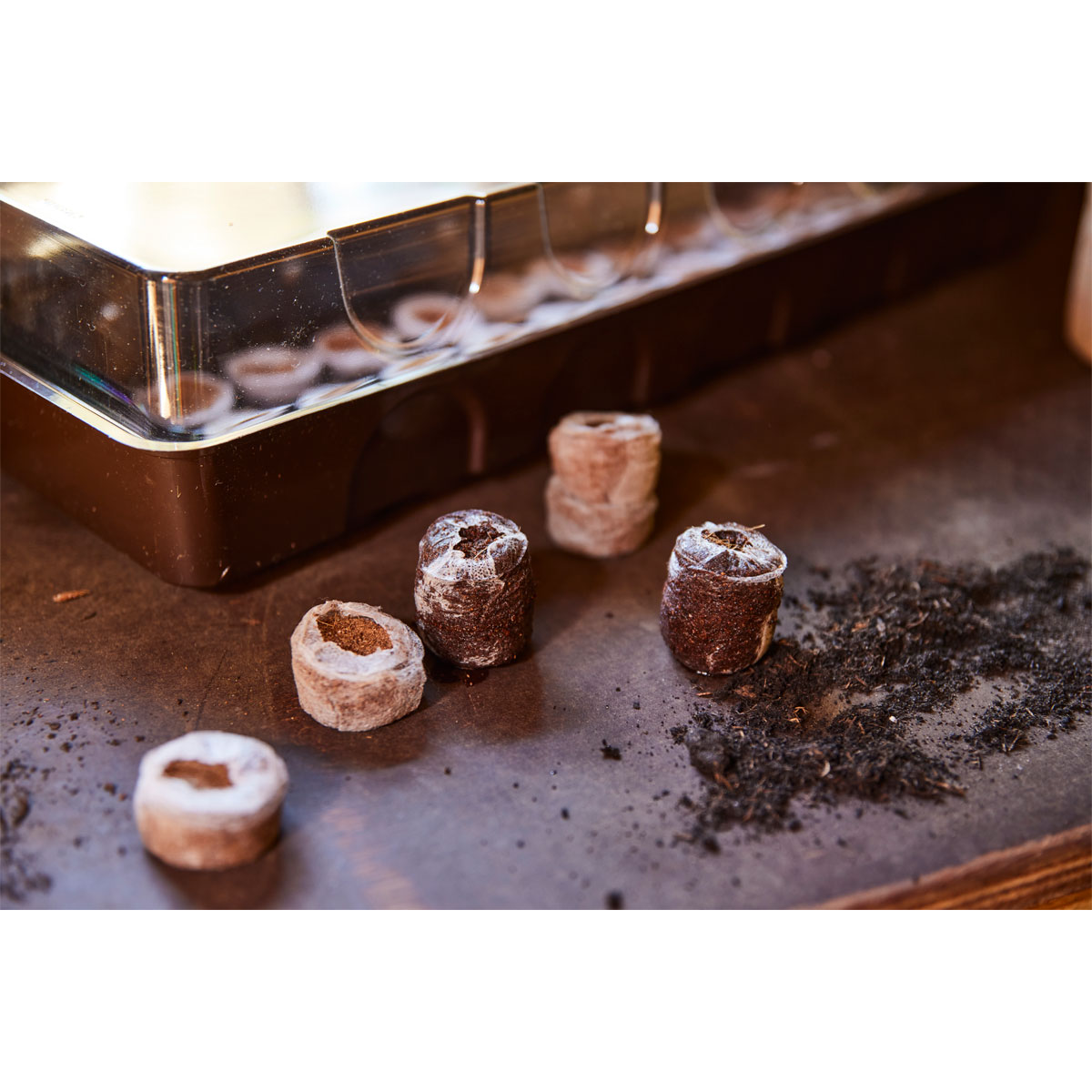 SIENA GARDEN  Anzuchtgewächshaus inkl. 36 Tabs 53 x 15,1 x 4,9 cm Bild 2