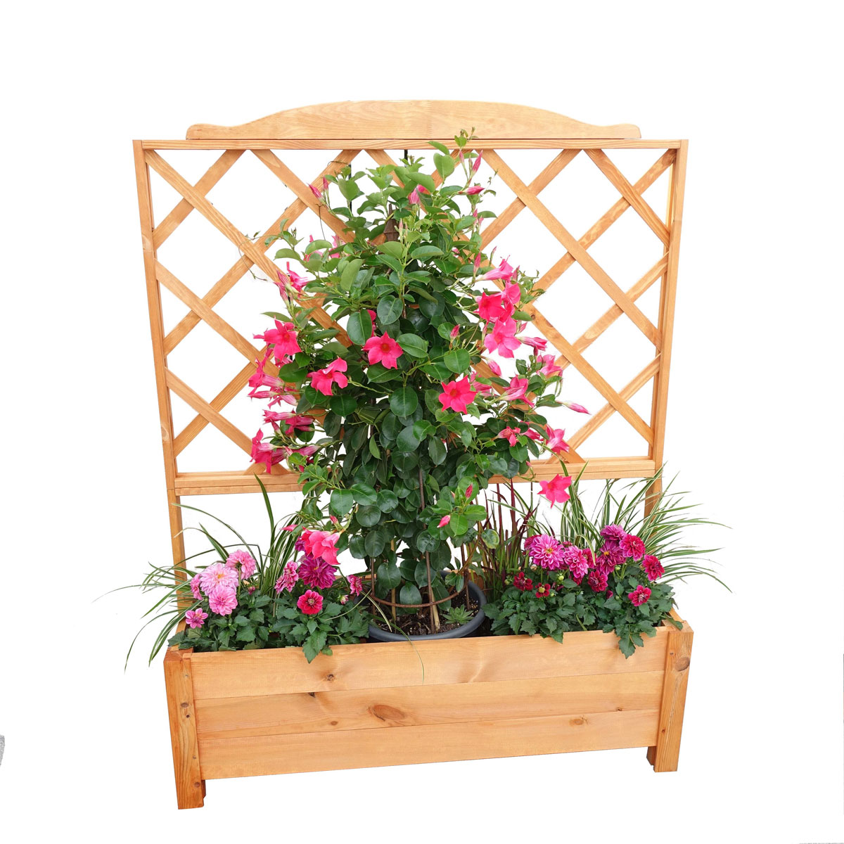 Promadino Rankkasten Botanica 110 x 140 cm Bild 2