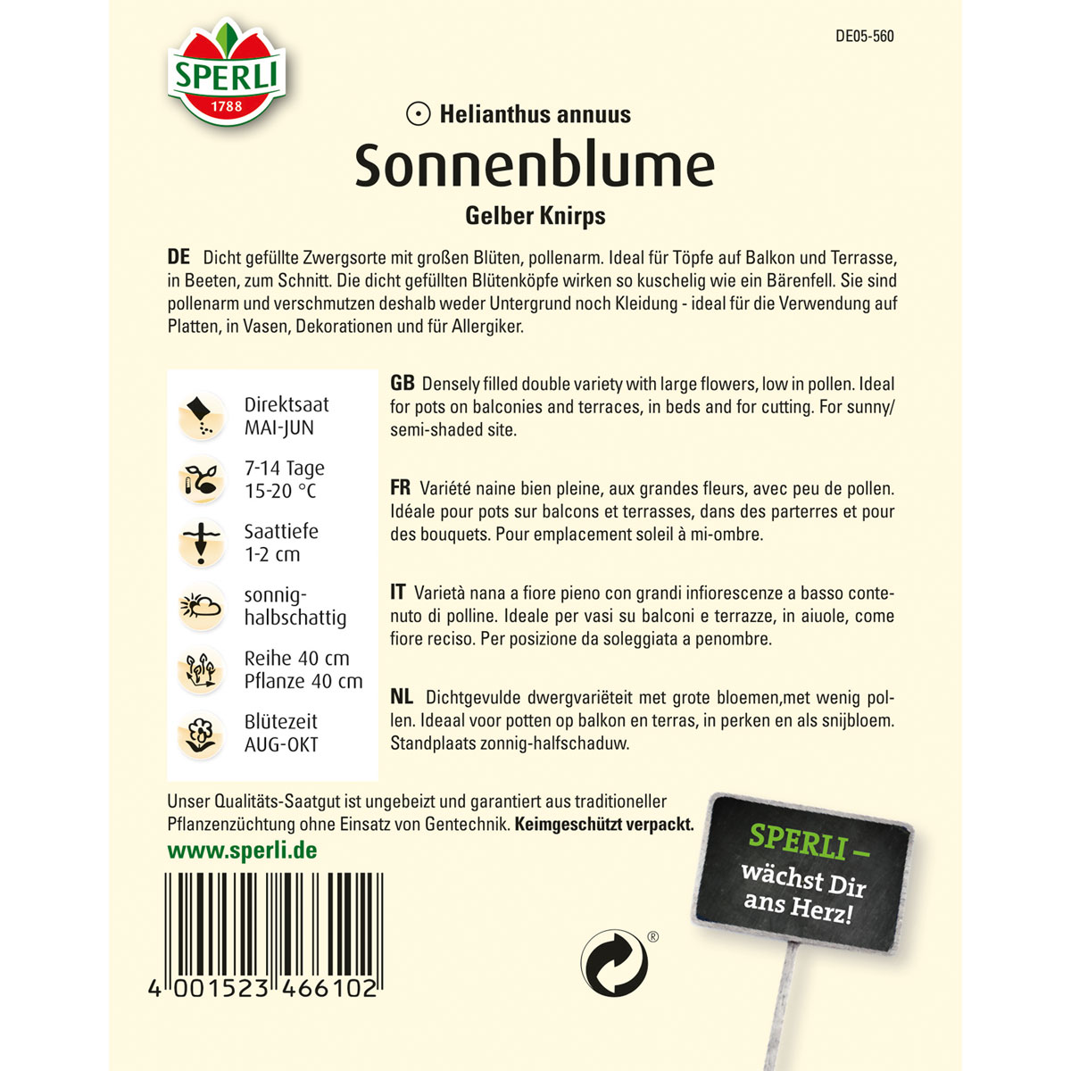 Sperli Sonnenblume Gelber Knirps Bild 2