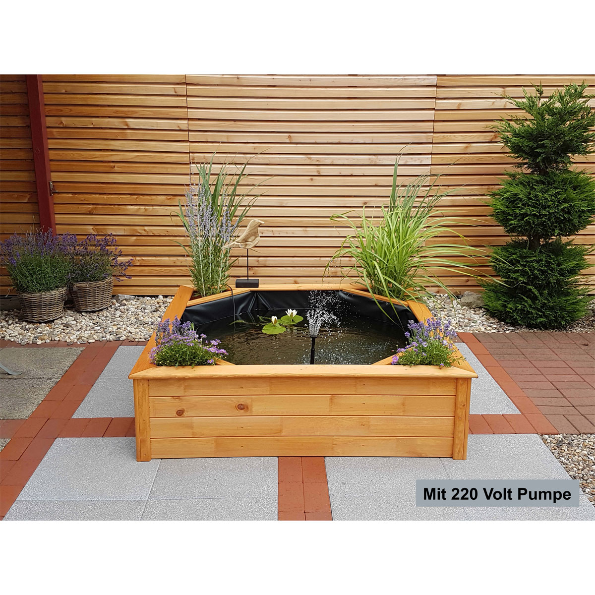 Promadino Hochteich 4 seitliche Pflanzzonen Bild 3