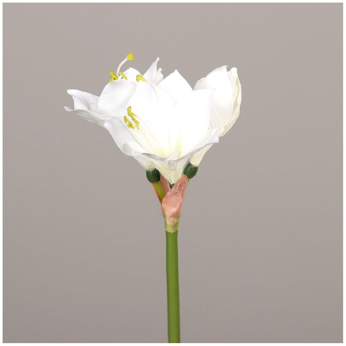 Amaryllis 51 cm cream