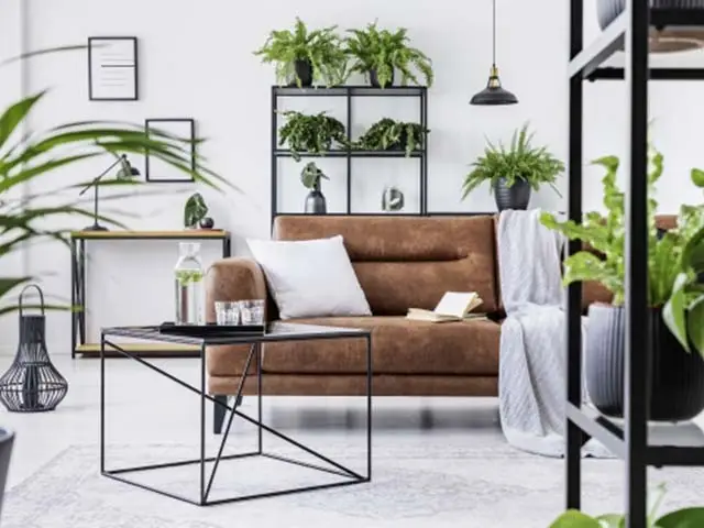 Ein Wohnzimmer im Greenery Look eingerichtet