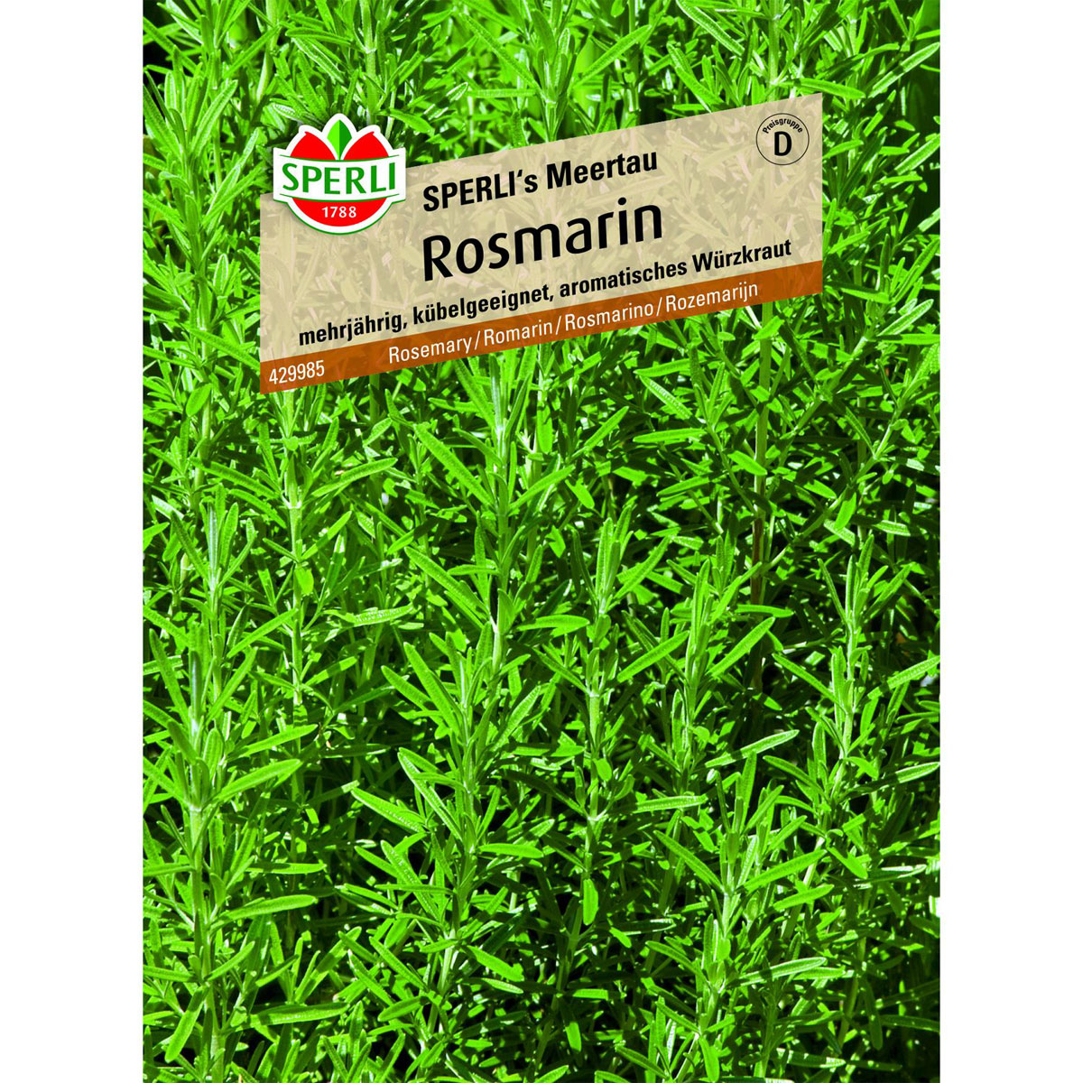 Rosmarin SPERLI´s Meertau