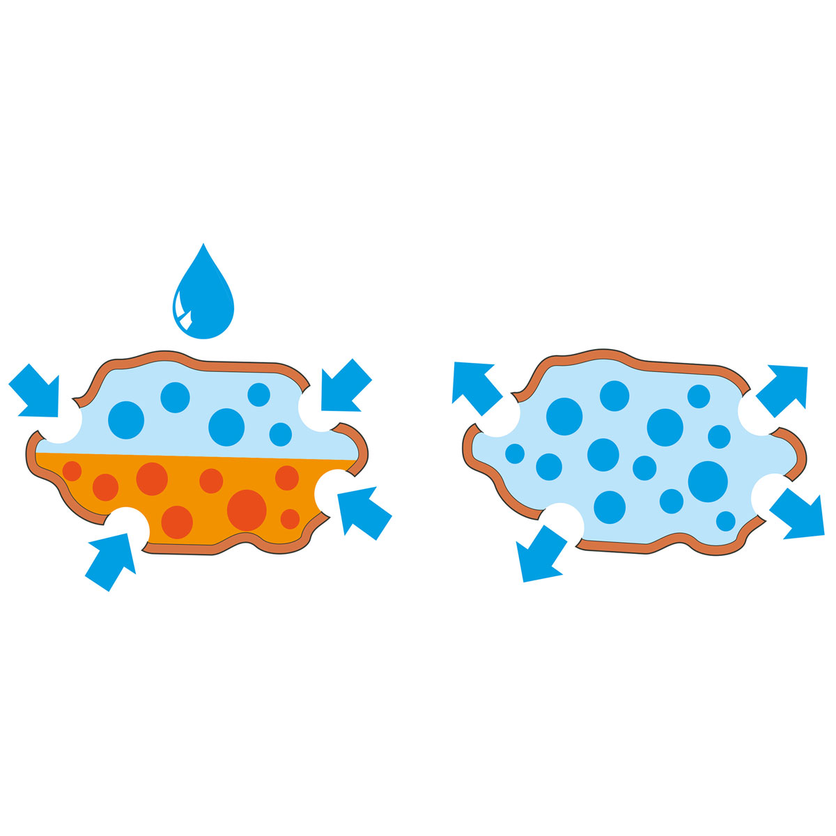 Seramis Spezial-Substrat Orchideen 2,5 L Bild 3