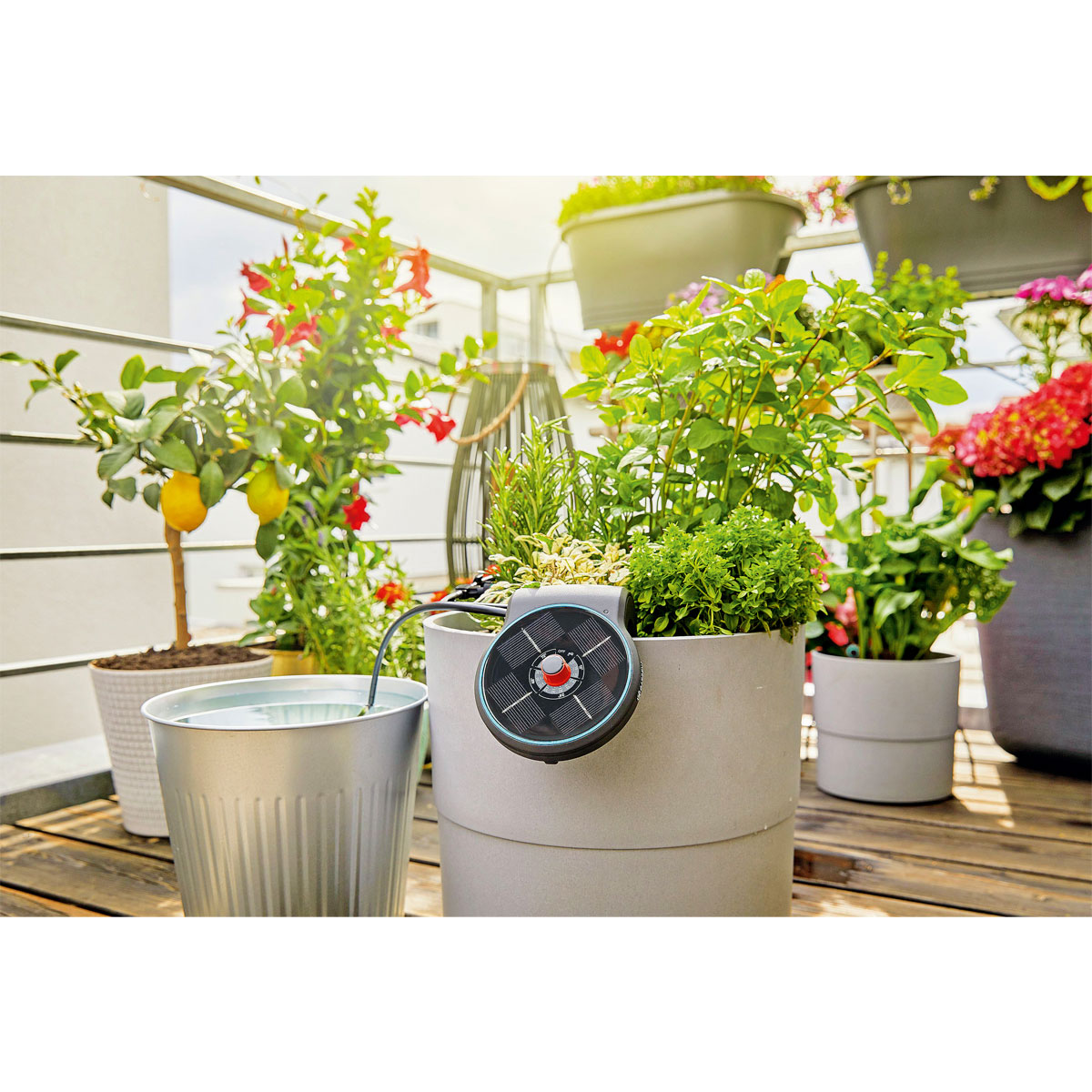 Gardena  Solar-Bewässerungs-Set AquaBloom Bild 8