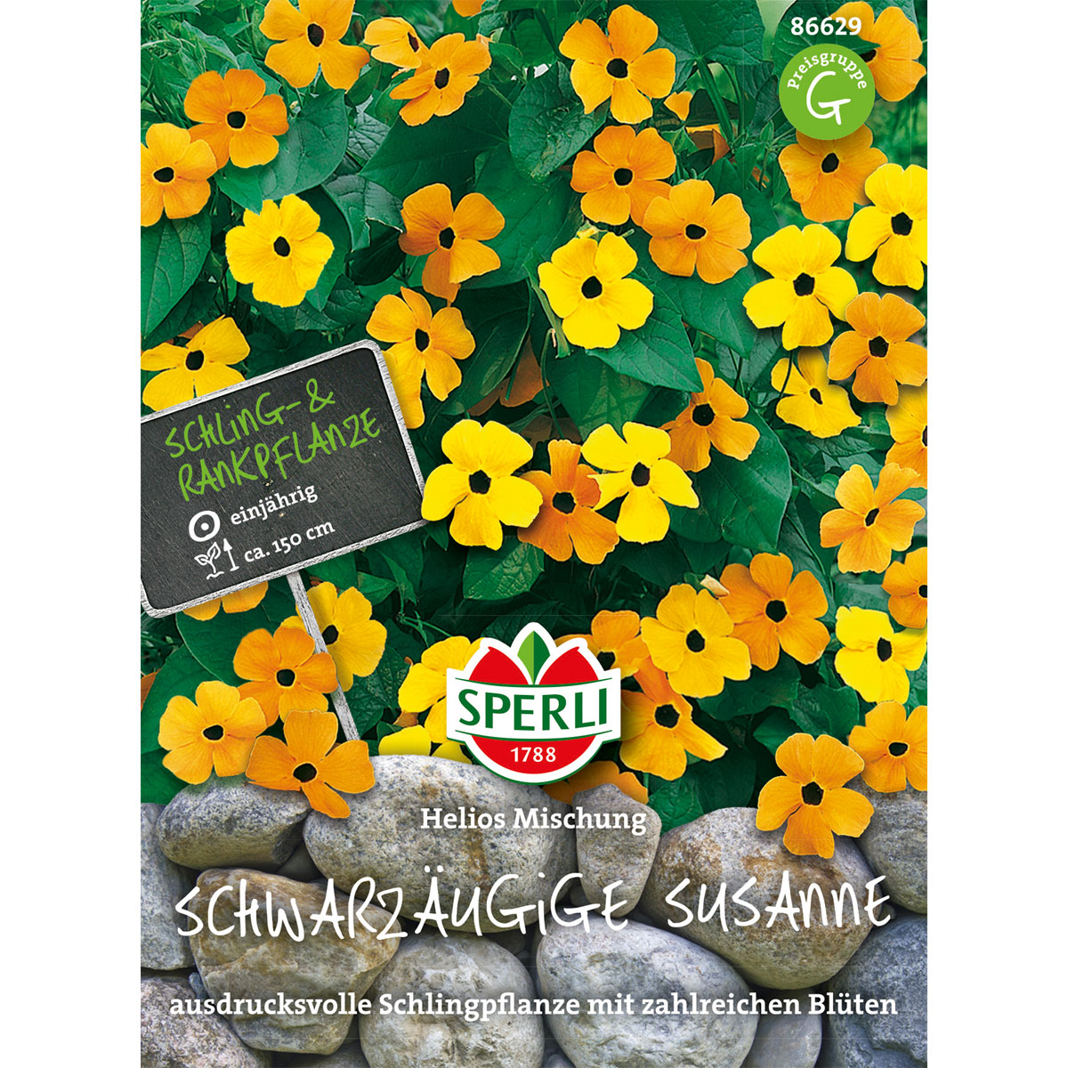 Sperli Schwarzäugige Susanne Helios Mischung Bild 1