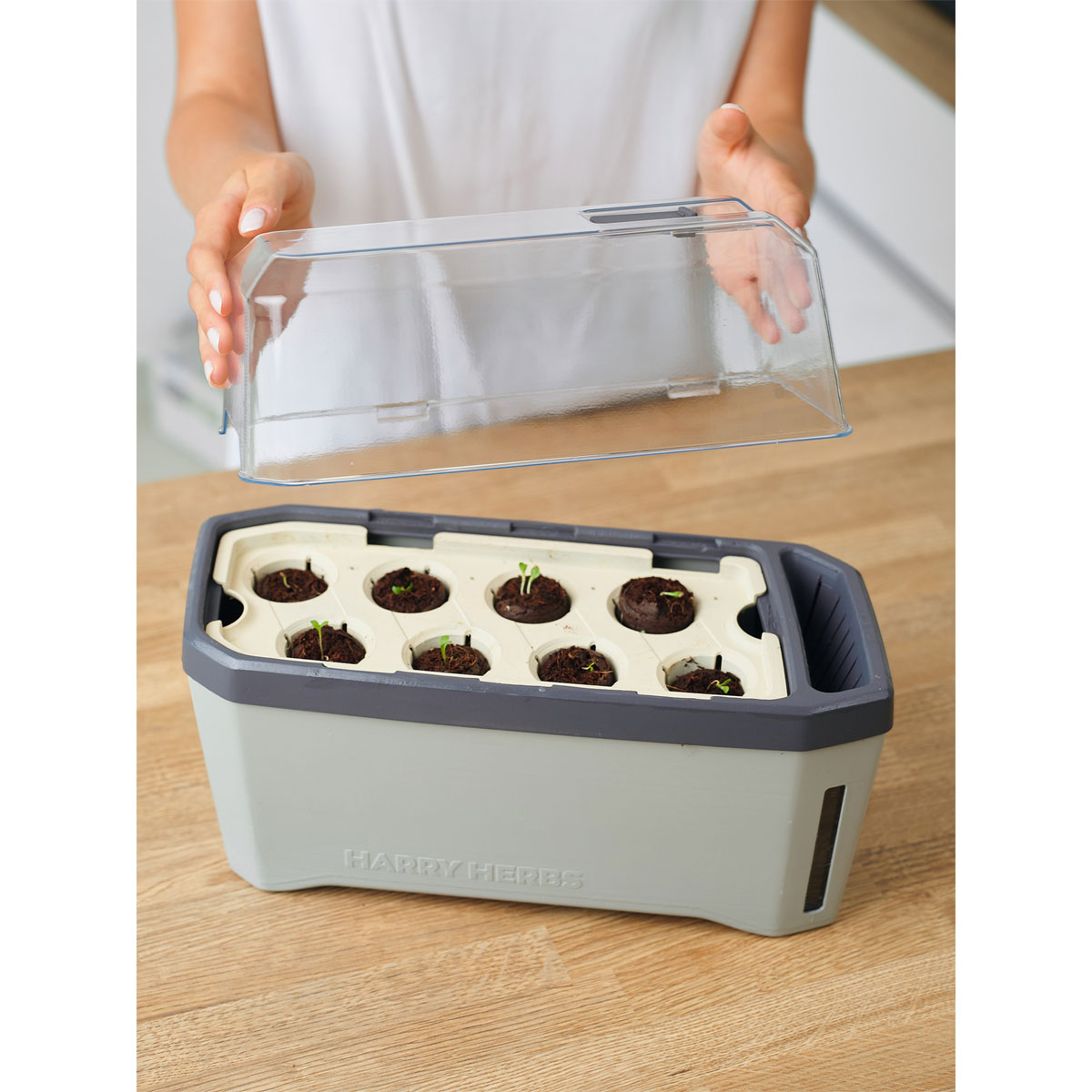 Anzuchtgefäß Harry Herbs mit Deckel hellgrau Bild 2