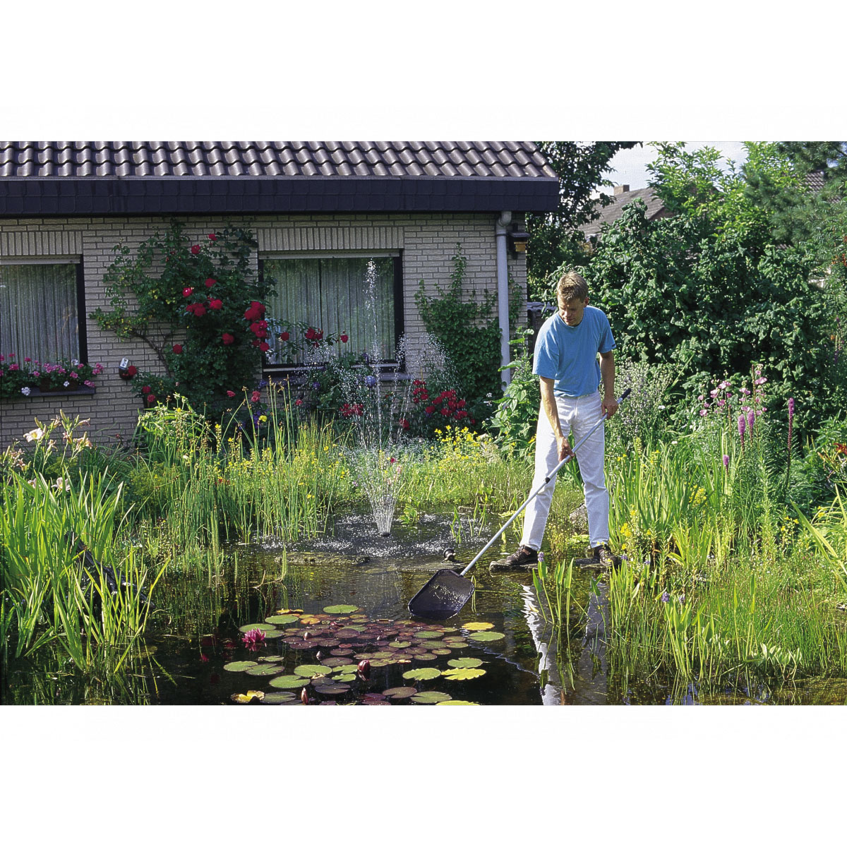 Oase Algenkescher Bild 2