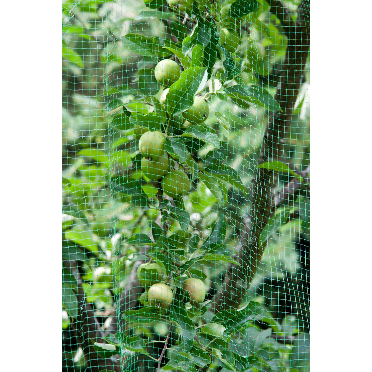 Vogelschutz-Netz Ortonet 5 x 2 m Bild 3