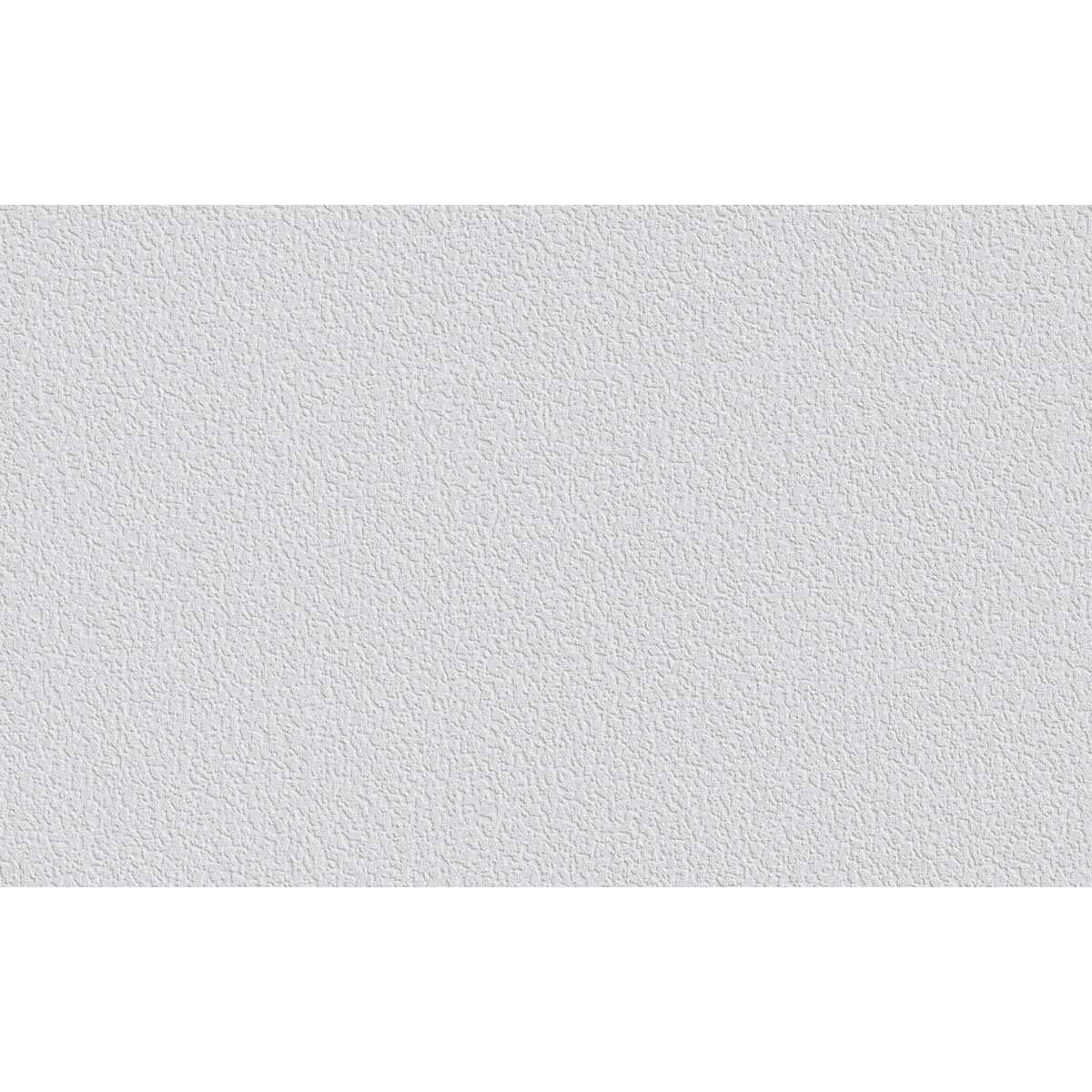 Erfurt  Vliesfaser Protect 204 weiß 1005 x 53 cm Bild 2