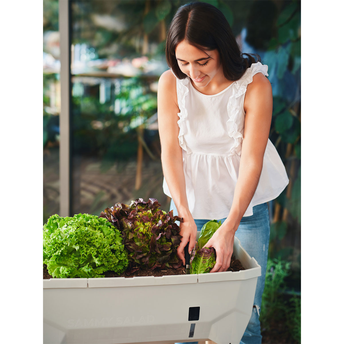 Hochbeet Sammy Salad mit Deckel hellgrau Bild 5