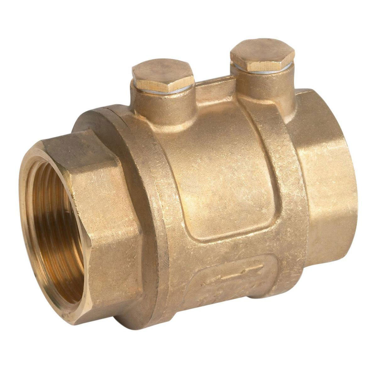 Meister Rückschlagventil 39,59 mm 1 1/4 Zoll Innengewinde mit doppelter Entlüftung