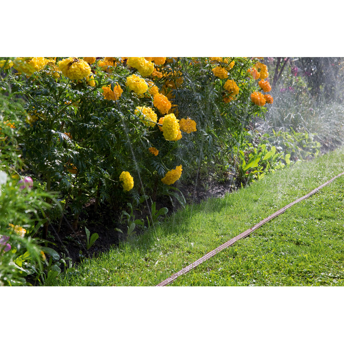 Gardena  Schlauchregner mit Anschlussteilen braun Bild 3