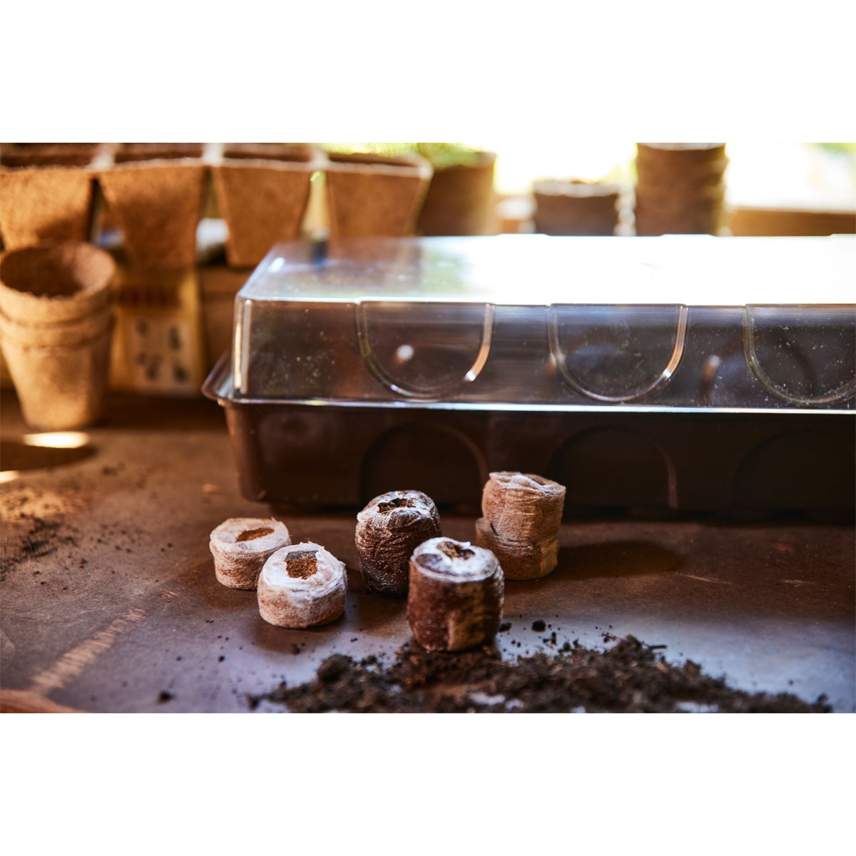 SIENA GARDEN  Anzuchtgewächshaus inkl. 36 Tabs 53 x 15,1 x 4,9 cm Bild 3