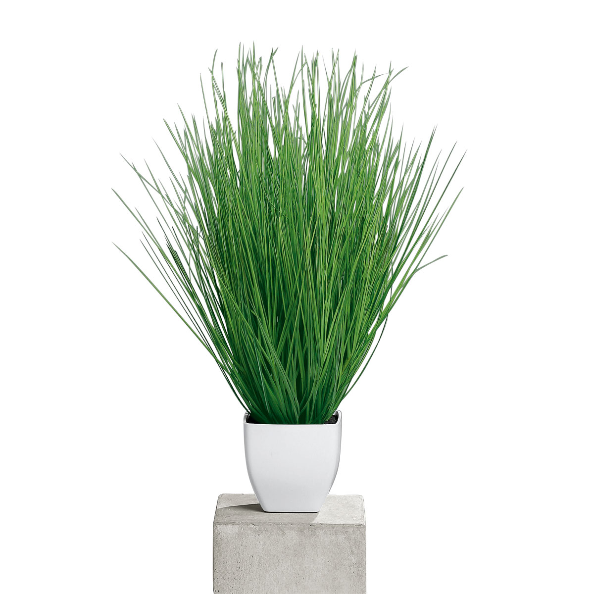 Kunstgras im Kunststofftopf weiß 55 cm