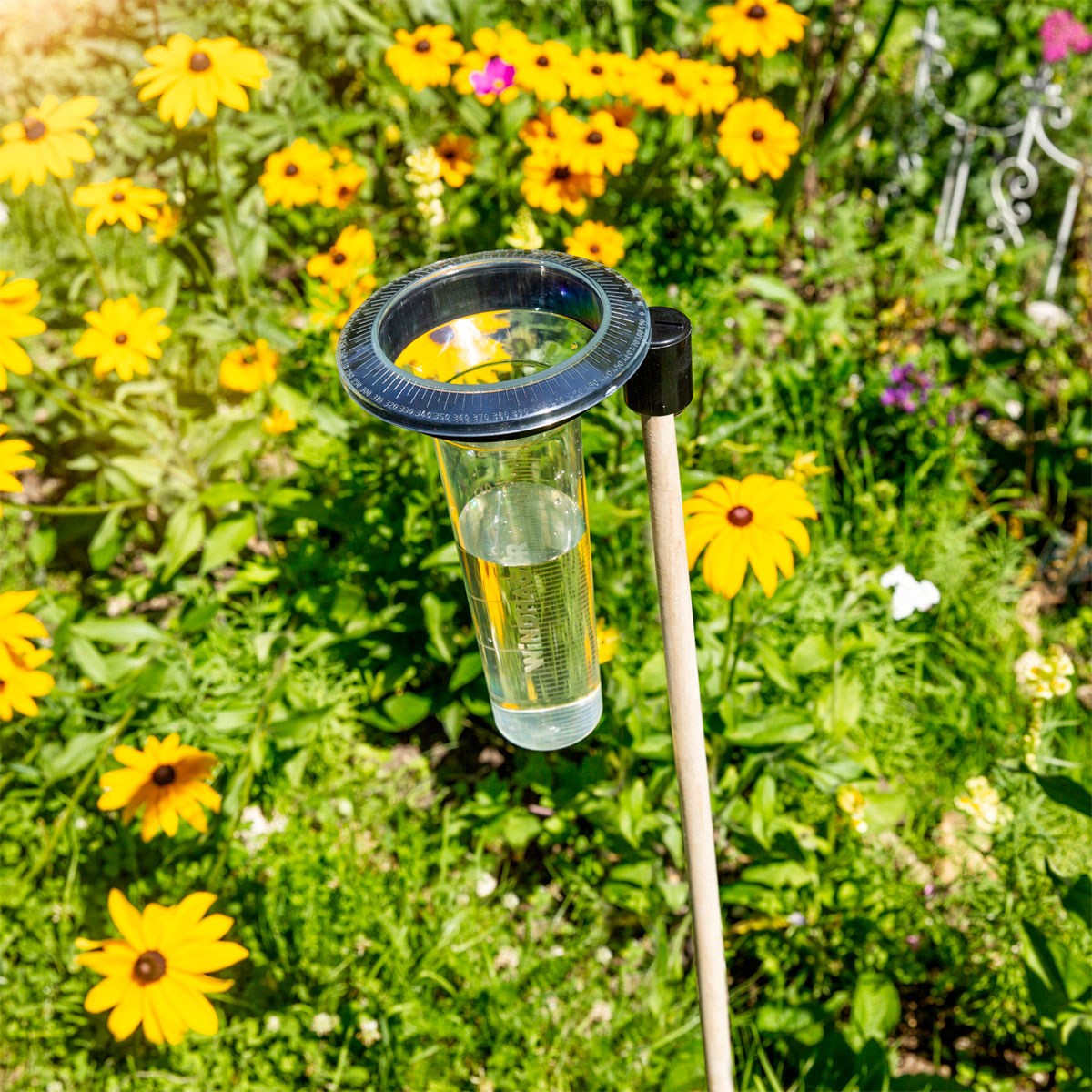 Windhager  Profi-Regenmesser Memory