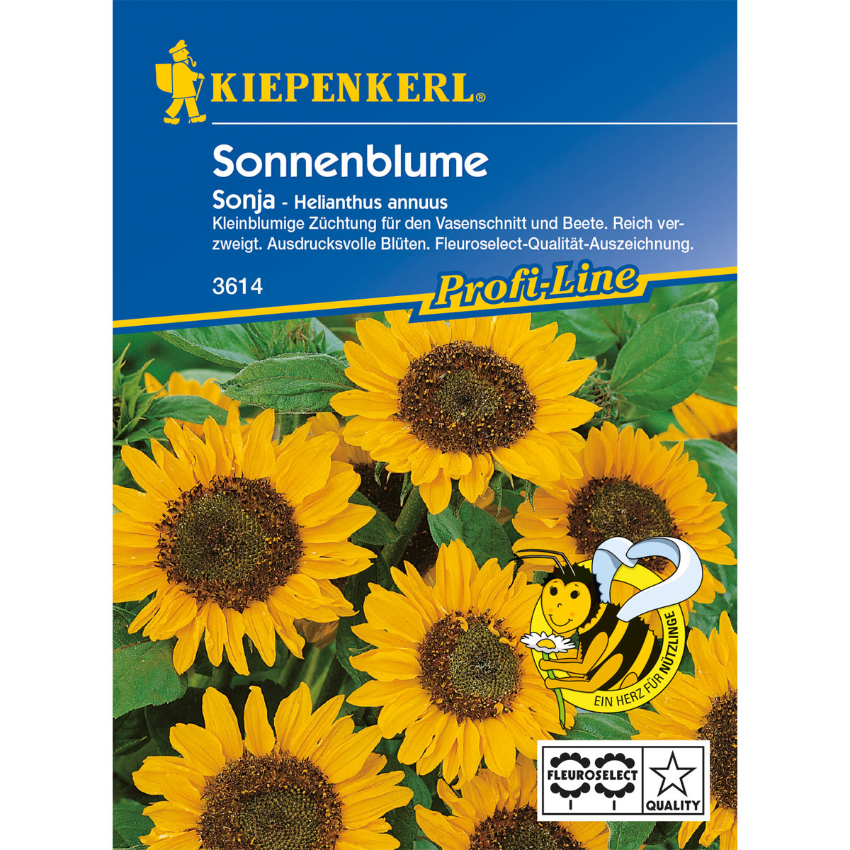 Kiepenkerl Sonnenblume Sonja Bild 1