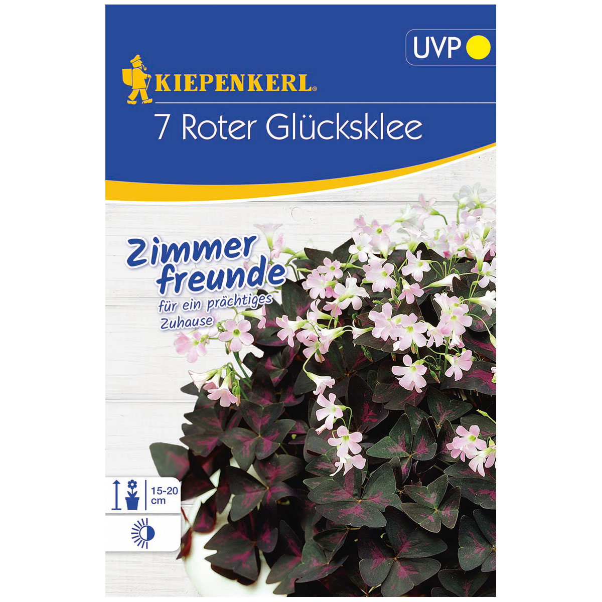 Kiepenkerl Roter Glücksklee Größe 1 7 Stück Bild 1