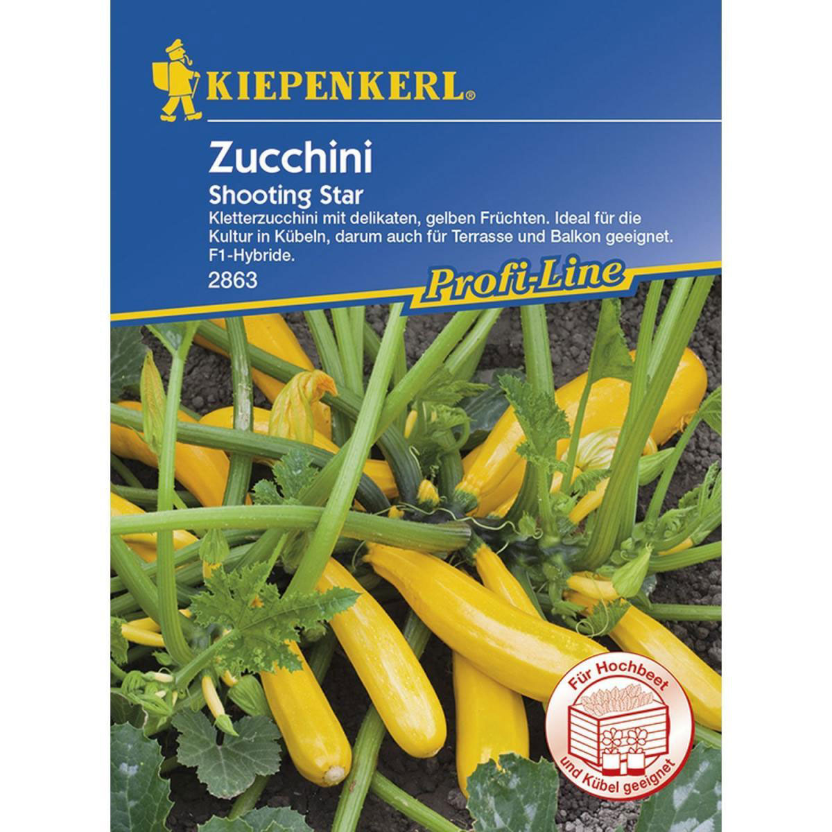 Kiepenkerl Zucchini Shooting Star Bild 1