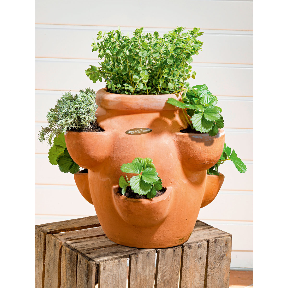 Haveson Erdbeer- und Kräutertopf Giardino Bild 4