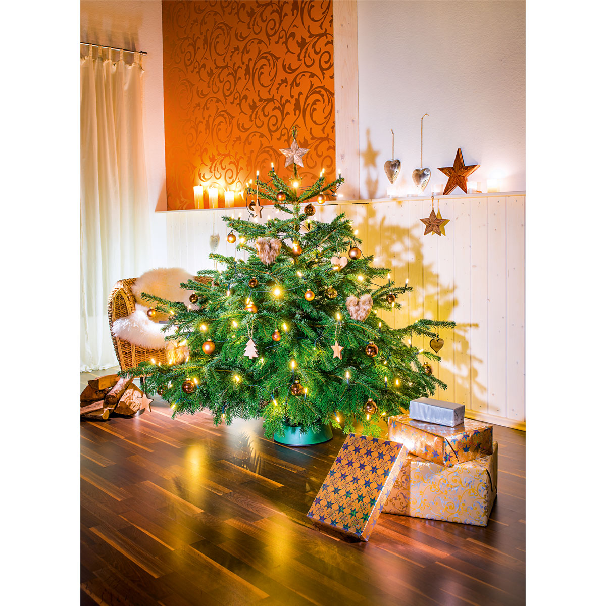 Plantiflor Nordmanntanne Silber-Qualität 130-150 cm Bild 3