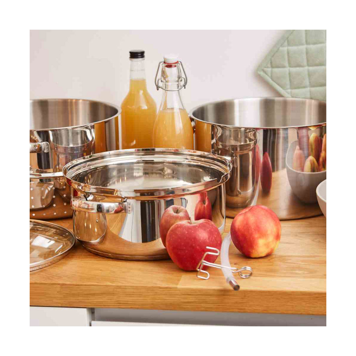 Fruchtentsafter Bild 7