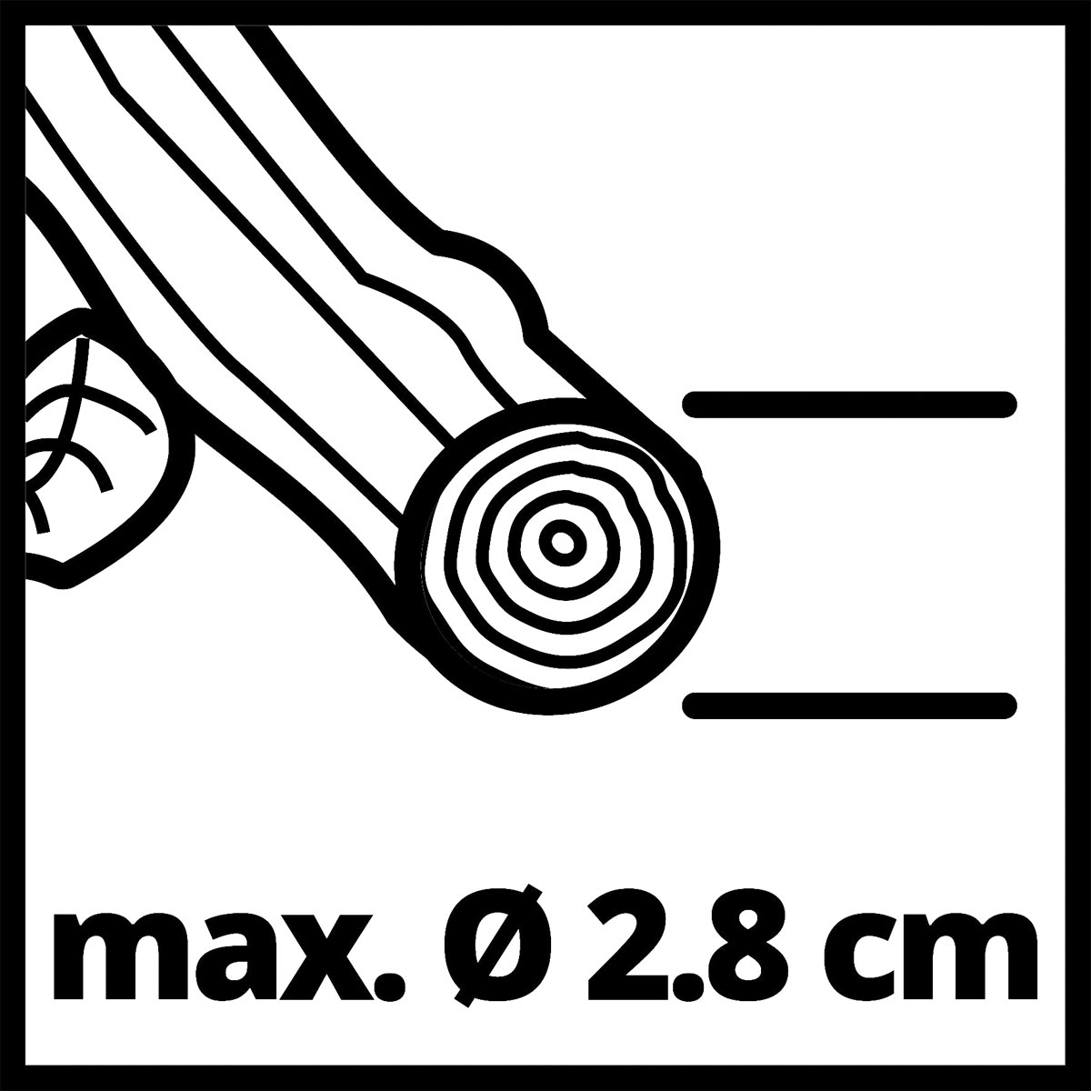 Einhell Akku-Astschere GE-LS 18 Li-Solo Bild 6