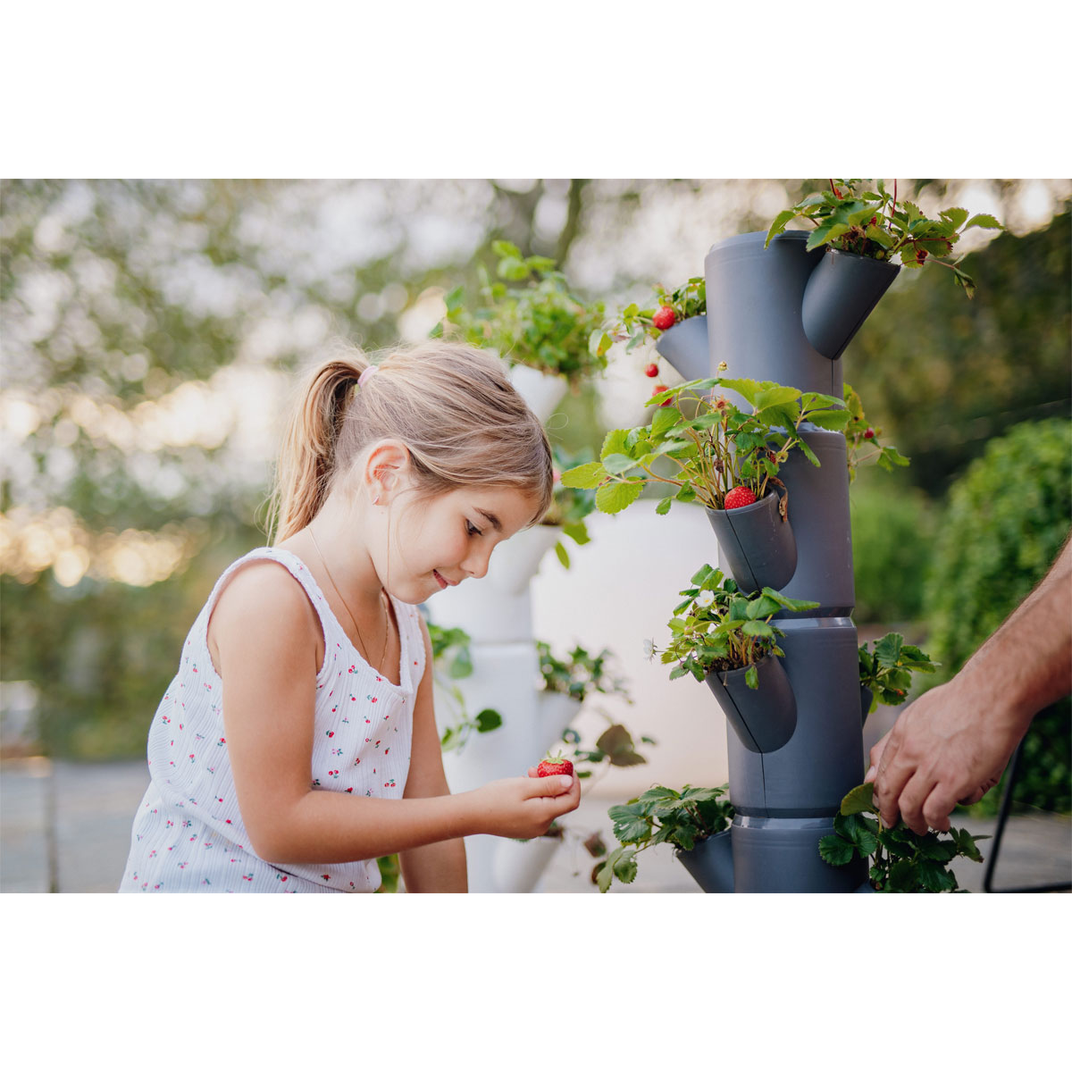 Erdbeerturm Sissi Strawberry Classic anthr. Bild 3