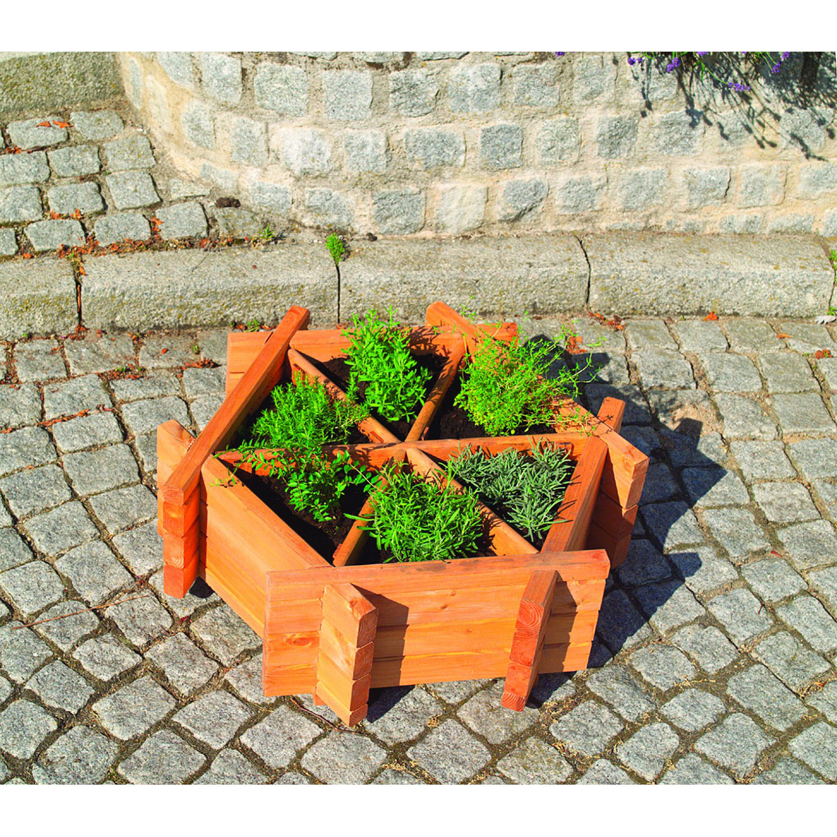 Promadino Kräuterhexagon Eva