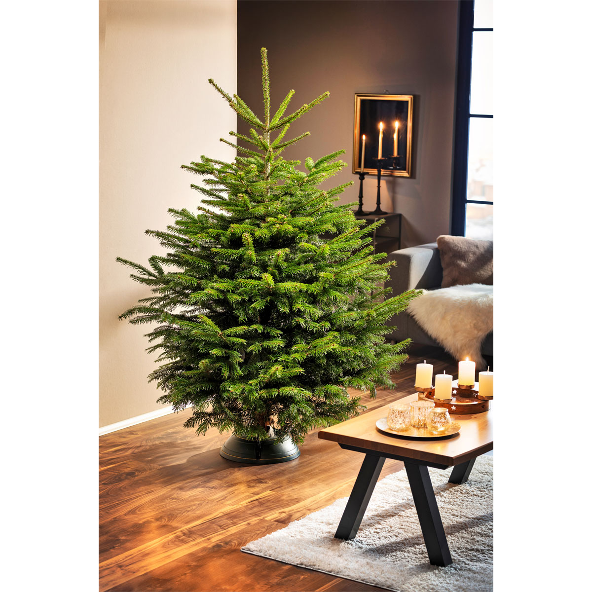 Nordmanntanne geschlagen Silber, 90-120cm Bild 2