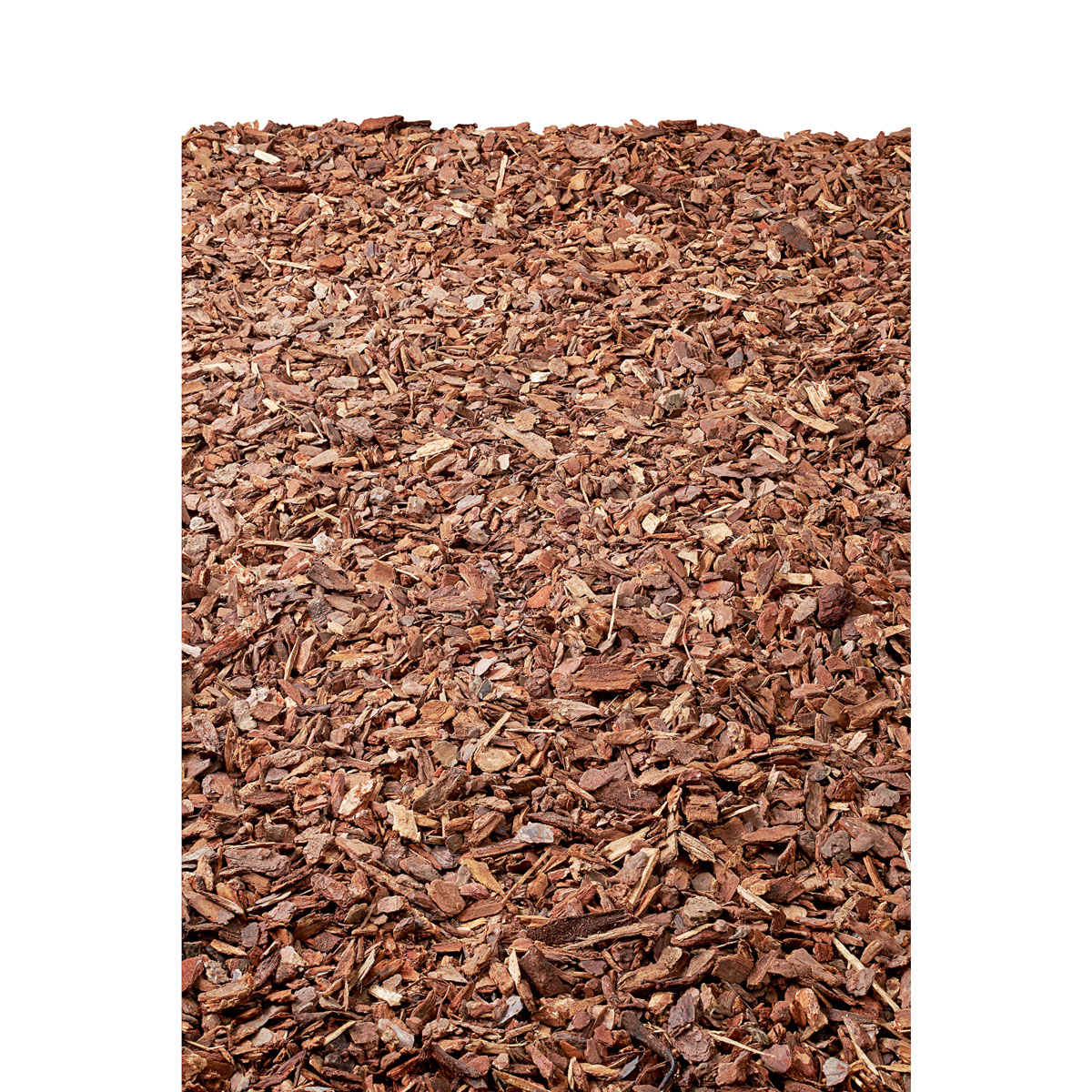 Plantiflor Pinienrinde 40 L Bild 2