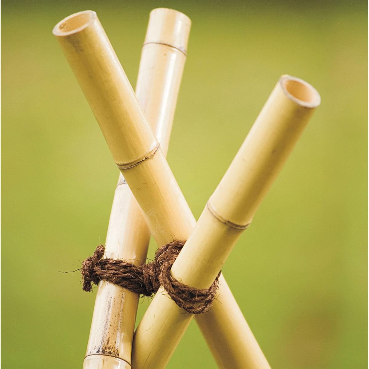 Windhager Kokosgarn, 15 m Bild 3