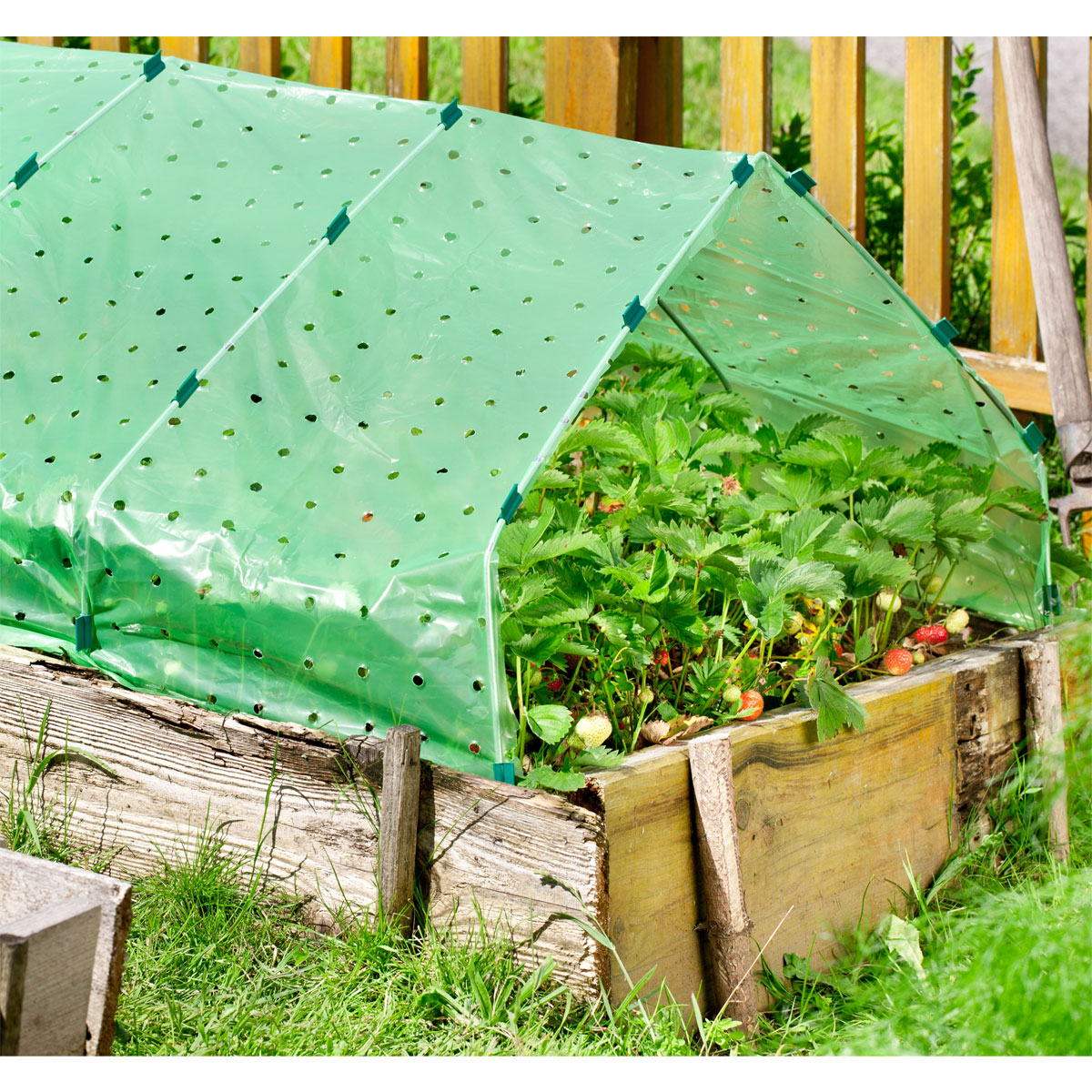 Windhager Frühbeet-Folie 10 x 1,5m Bild 3