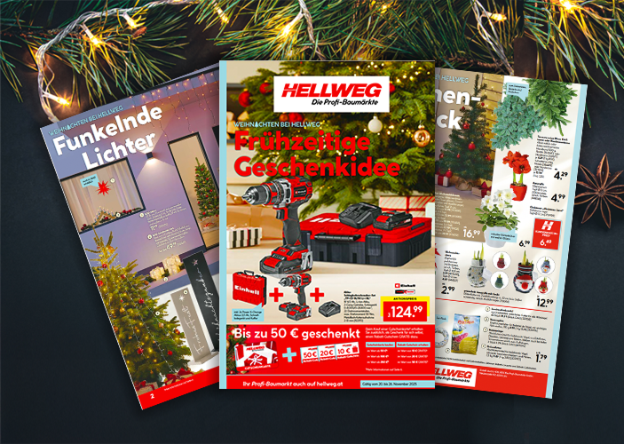 Beilage: Frühzeitige Geschenkidee, bis zu 50 Euro geschenkt und funkelnde Lichter