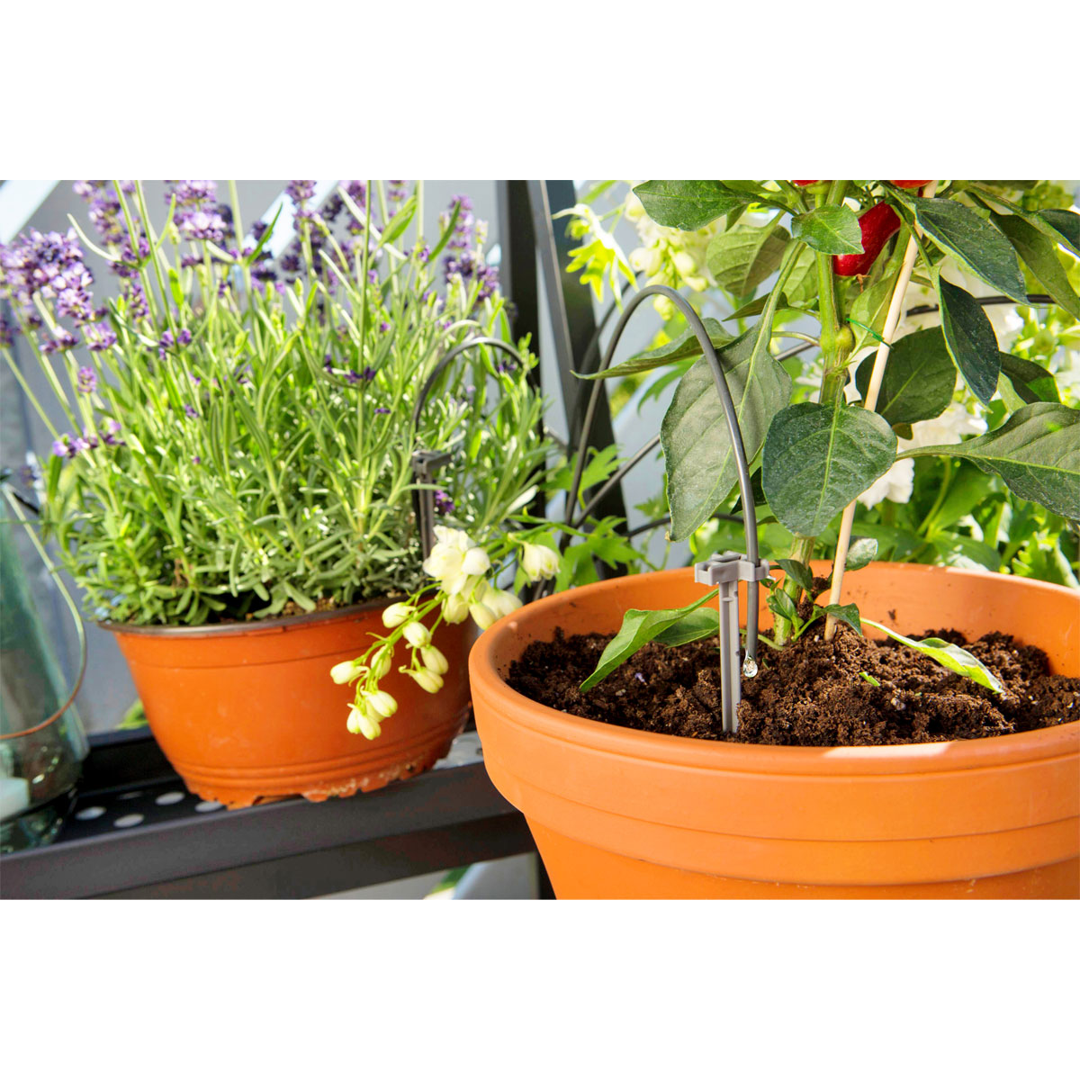 Gardena  Urlaubsbewässerung Bild 6