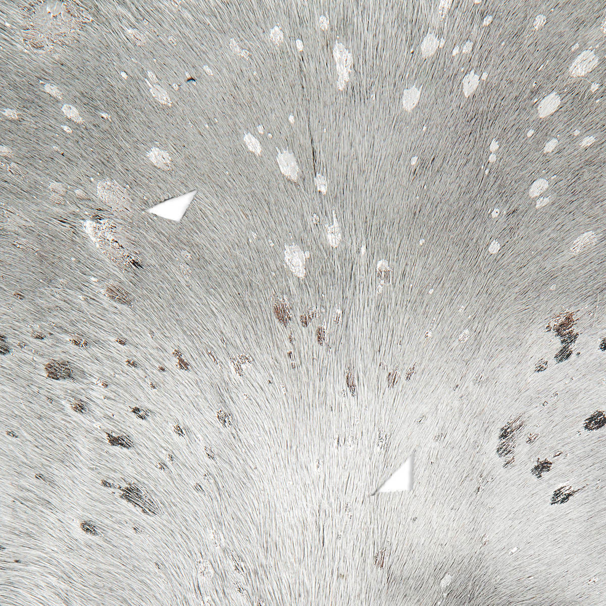 Rindlederteppich Fly 110 grau/silber Bild 3