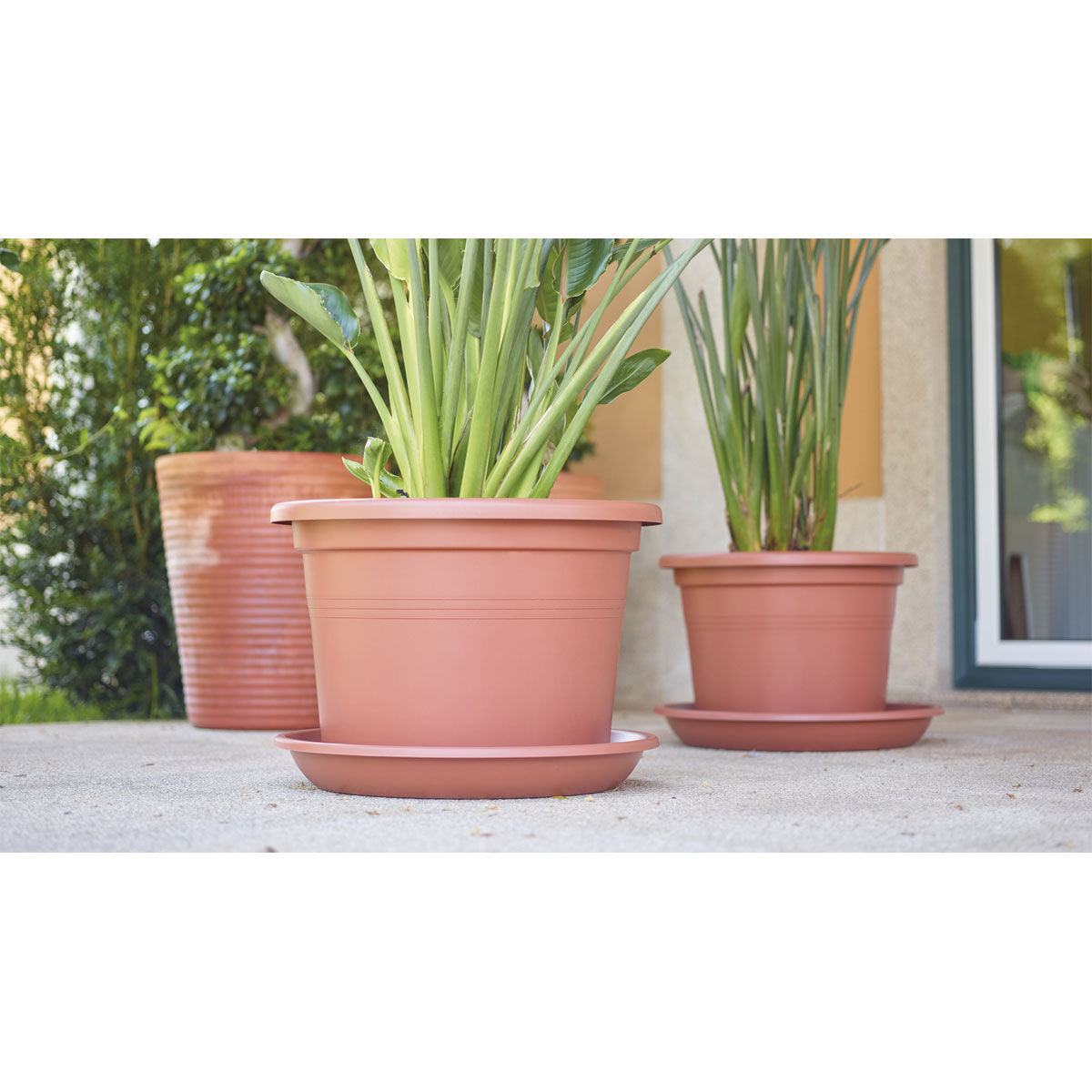 Untersetzer Round Saucer 18 cm anthrazit Bild 2