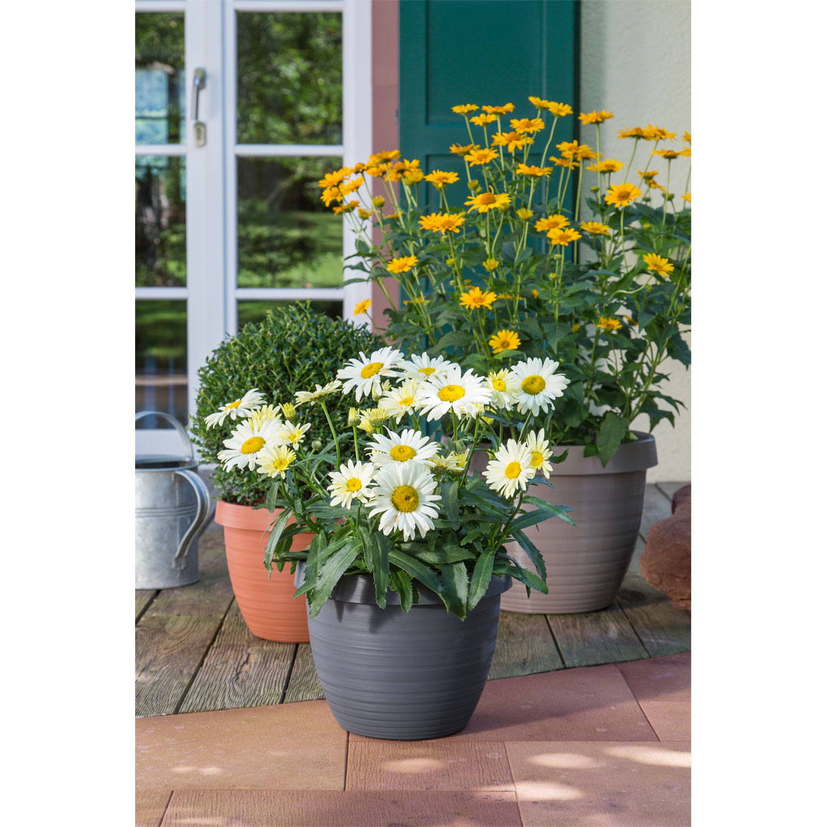 Scheurich Blumentopf Country Star 40 40 cm Terracotta Bild 2