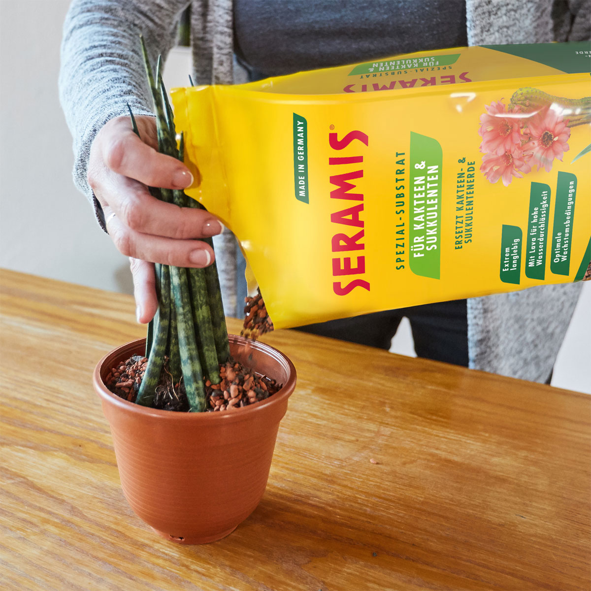 SERAMIS Substrat Kakteen/ Sukkulenten 2,5 L Bild 5