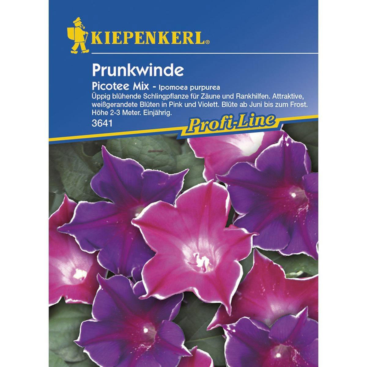 Kiepenkerl Trichterwinde Ipomoea Picotee Mix Profi-Line Bild 1
