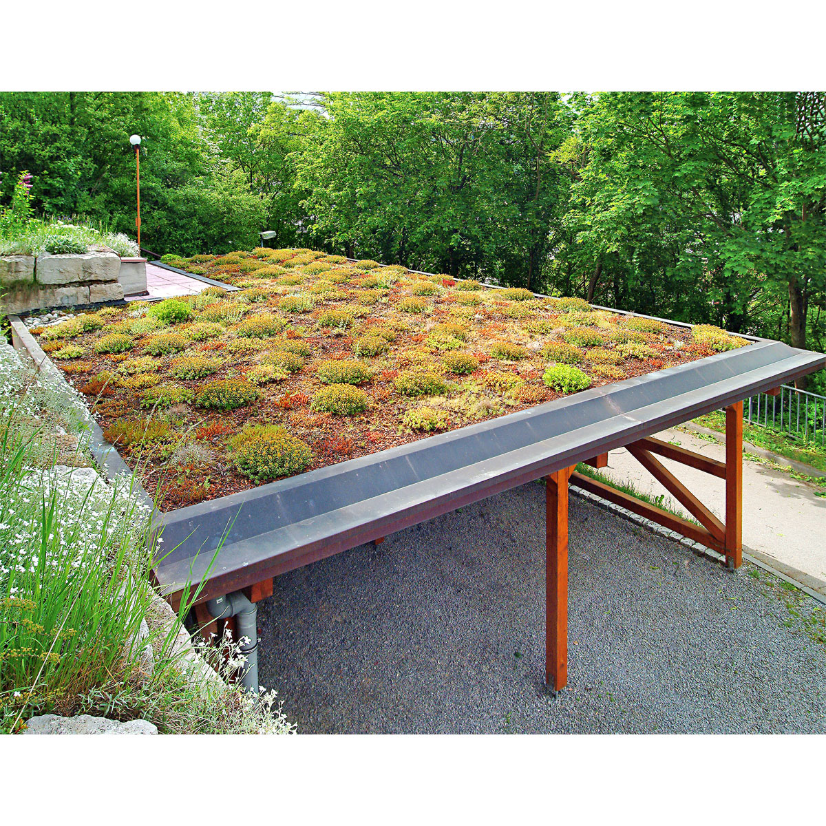 Gründach-Paket Standard für 10 m² Bild 2