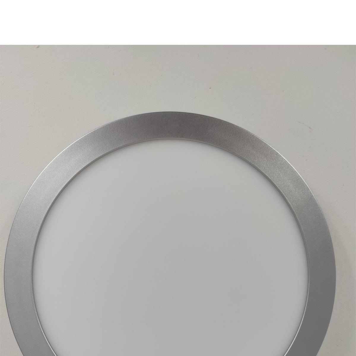 Paulmann LED-Panel Abia Durchmesser 30 cm silber