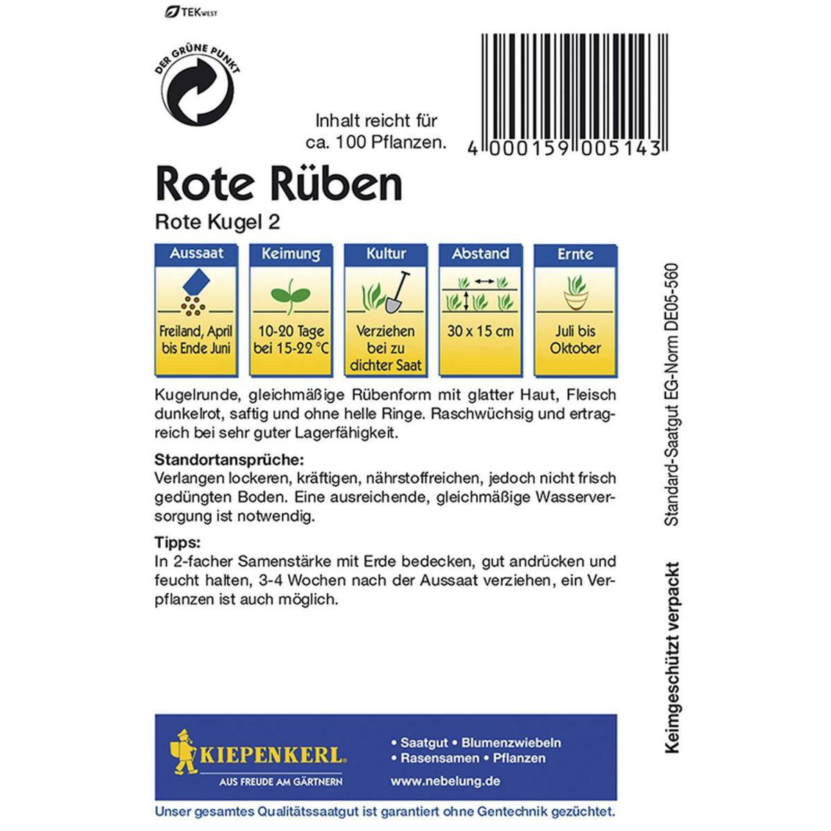 Kiepenkerl Rote Beete Rote Kugel 2 Bild 2