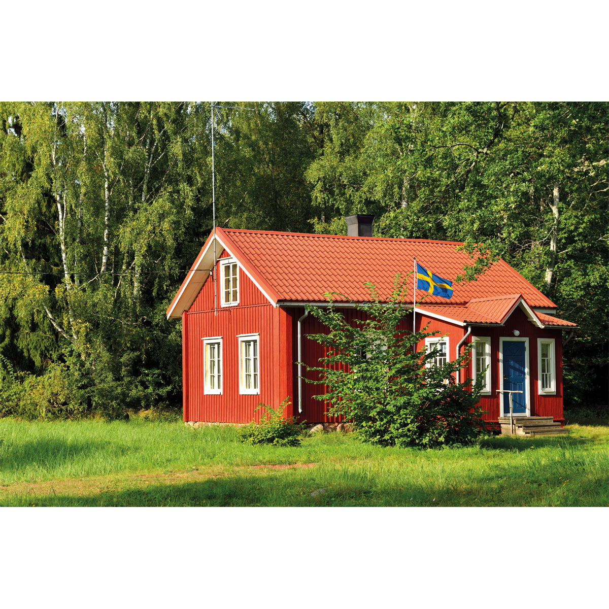 Vincent  Holzschutz Premium Wetterschutzfarbe MIX IT! 0,75 l Bild 3