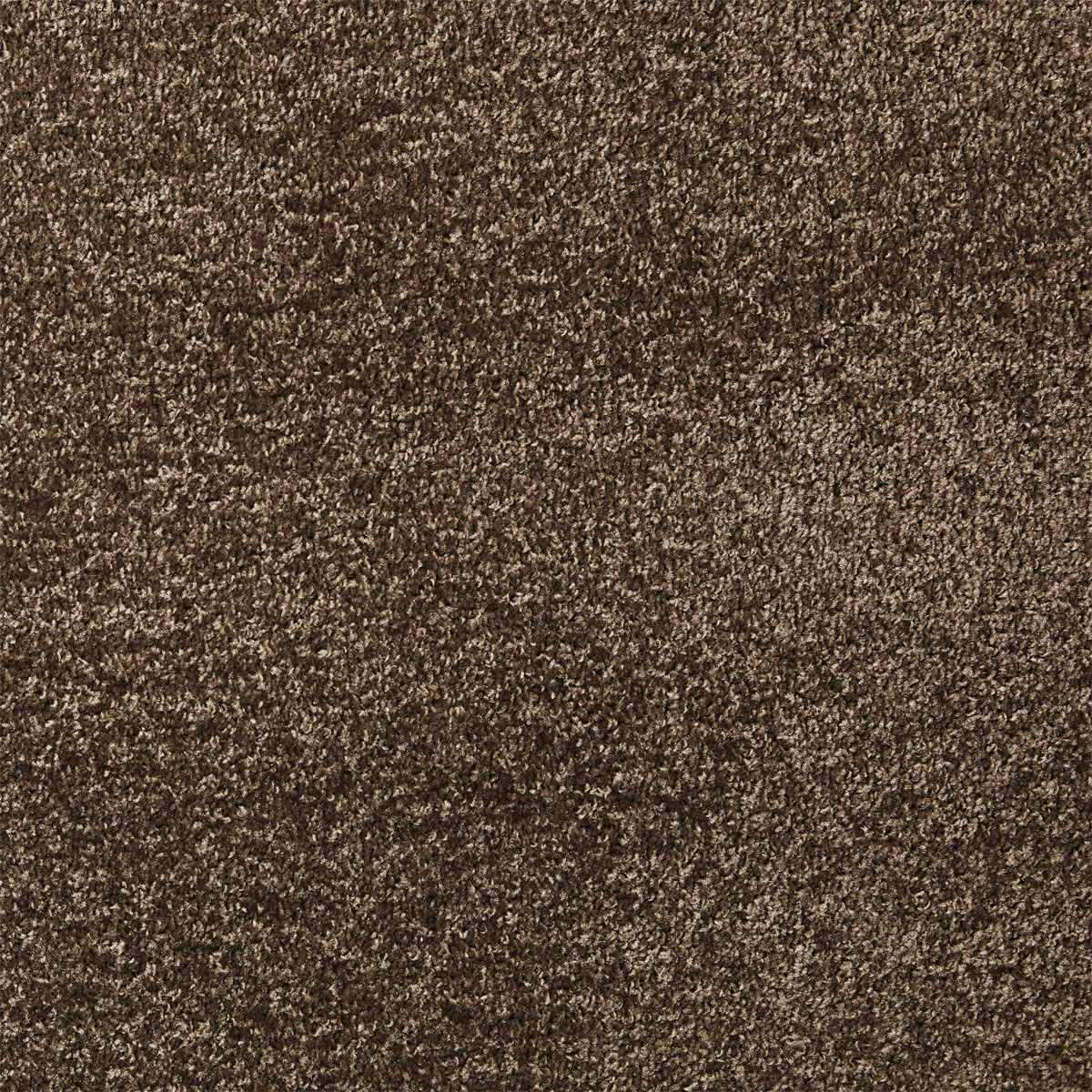 Teppichboden Matteo grau 400 cm Bild 1