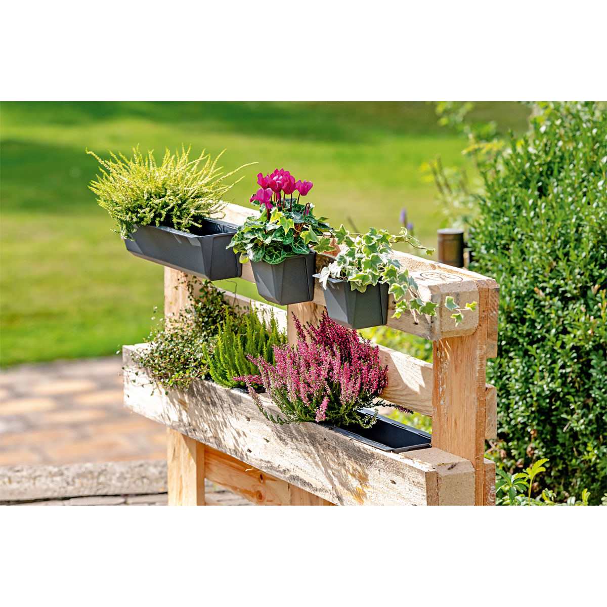 Geli Pflanzgefäß Easy 37 x 14 cm anthrazit Bild 2