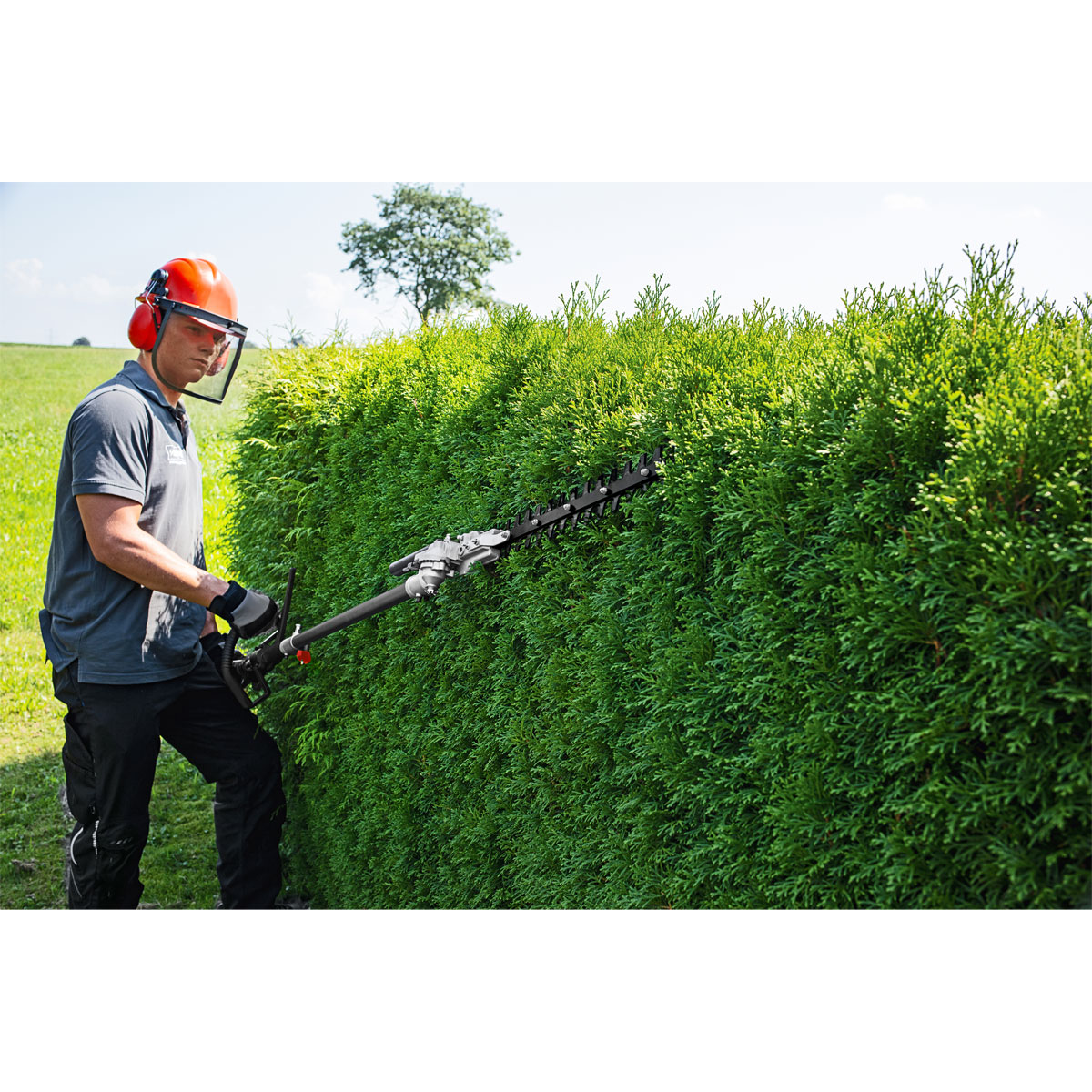 Scheppach 4 in 1 Multigartengerät MFH5200-4P Bild 3