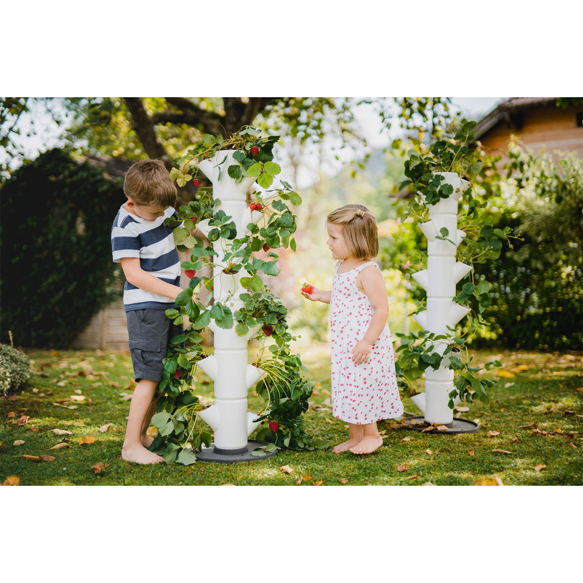 Erdbeerturm Sissi Strawberry Classic weiß Bild 4