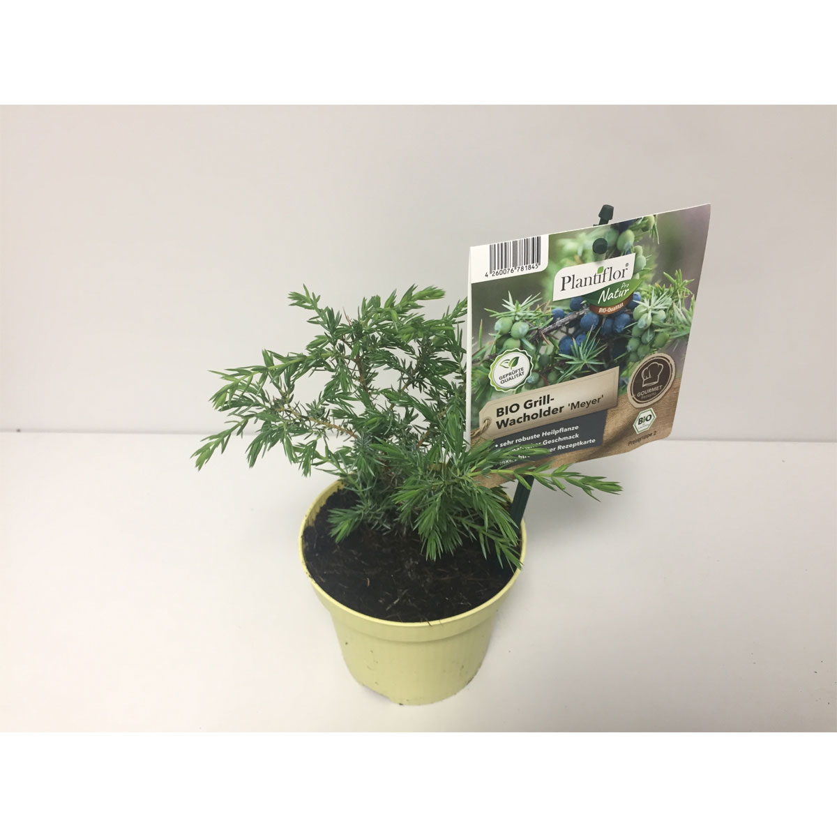 BIO Grillwacholder T12 BIO Grillwacholder T12